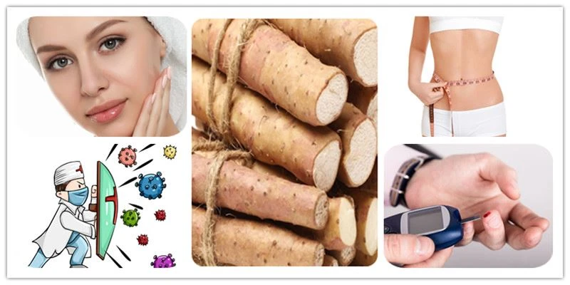 The efficacy of wild yam powder